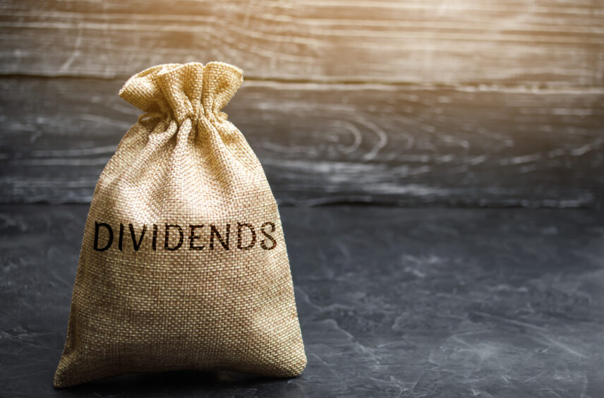Analüütikud soovitavad kaht kõrge dividenditootlusega aktsiat.
